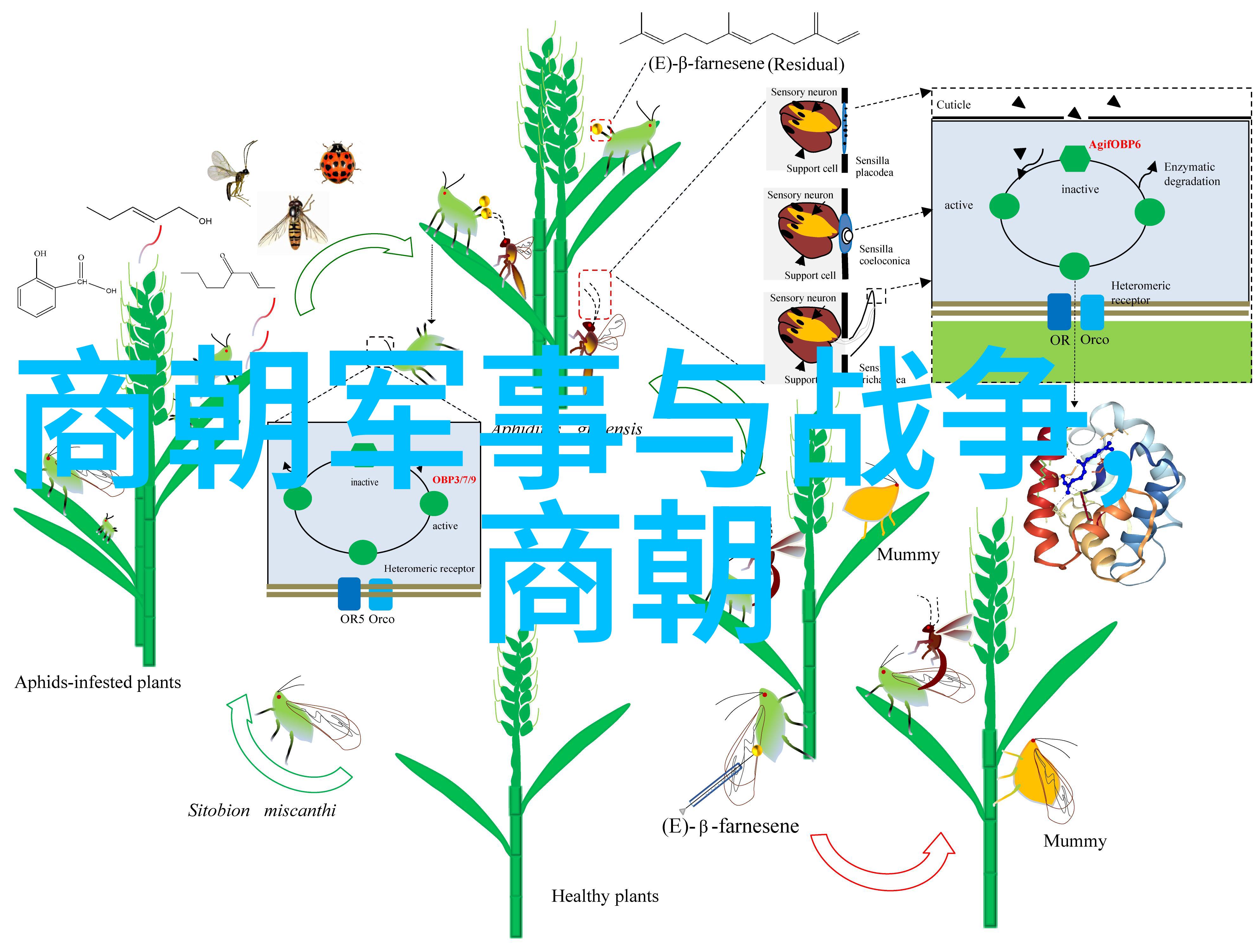谁都知道我爱你心跳的隐秘信仰