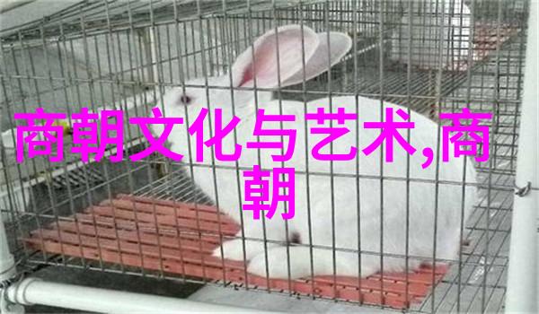 历史名人传记回顾巨星的光辉足迹
