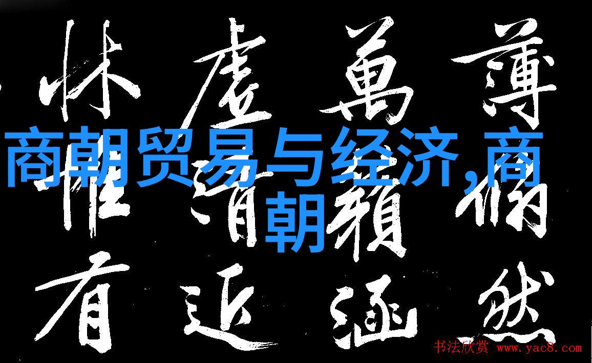 清朝历史简介中的杨式太极拳如同黄丹英这位艺术家的挥洒流畅而优雅