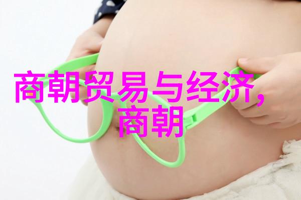 元朝帝王史话评书辽阔时空中的权力与荣耀