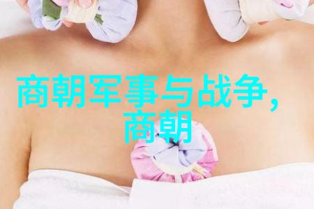 弘安之役中的杨式太极拳犹如黄丹英的温柔微笑融合着古老智慧与现代韵律