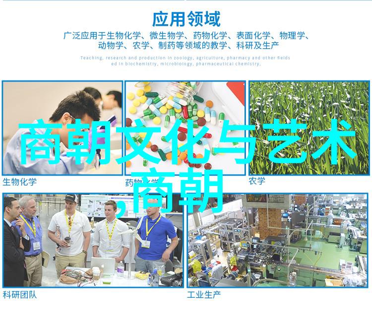 明朝最厉害的将领岳飞与吴璋的英勇事迹