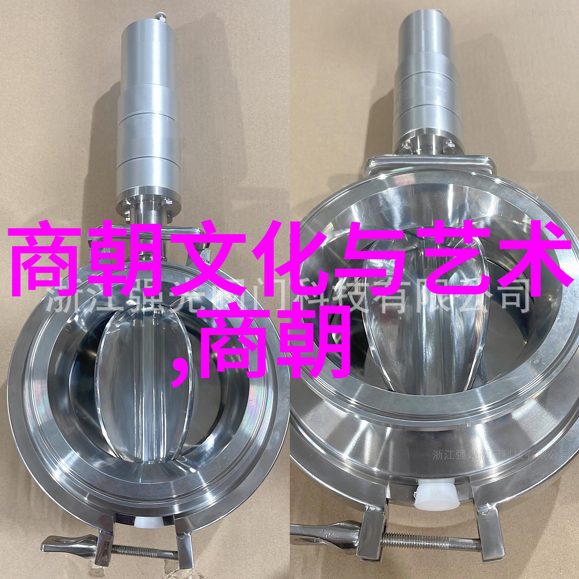 北魏末期至隋朝初年政治家名单考察