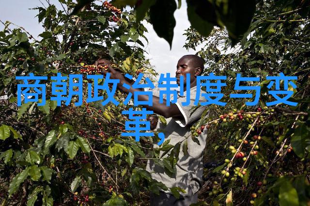 元朝算不算中国朝代我是如何看待元朝的那点小道理