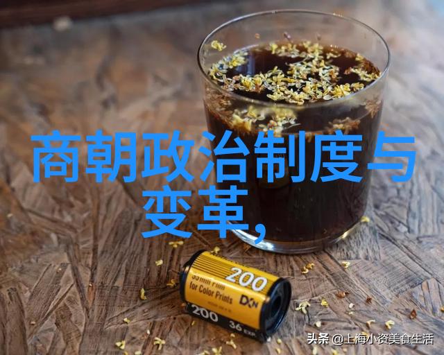 从正统到偏见明朝历史如何被刻意歪曲