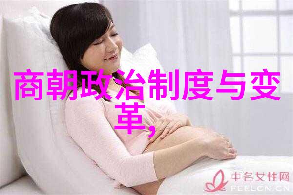 揭秘明朝辉煌历史地图上的帝王战役与文化