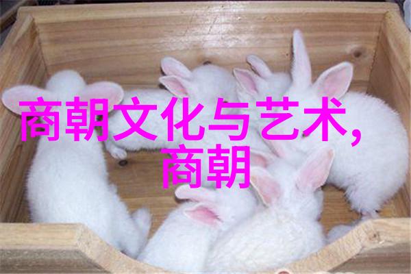 探秘明朝风云PDF电子书解读与思考