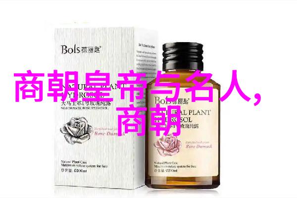元朝民生考爱与苦的交织