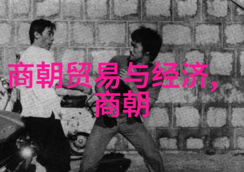 丧家狗的故事一个关于被遗弃后寻找归属的小狗的感人历程