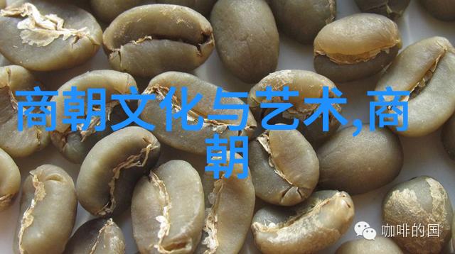 时空之幕古代皇帝的秘密宴会