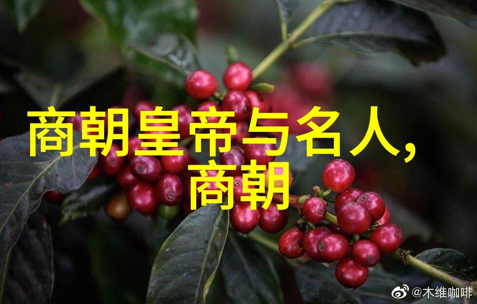 明朝那些事儿听书免费王更新揭秘历史改编的艺术与真实