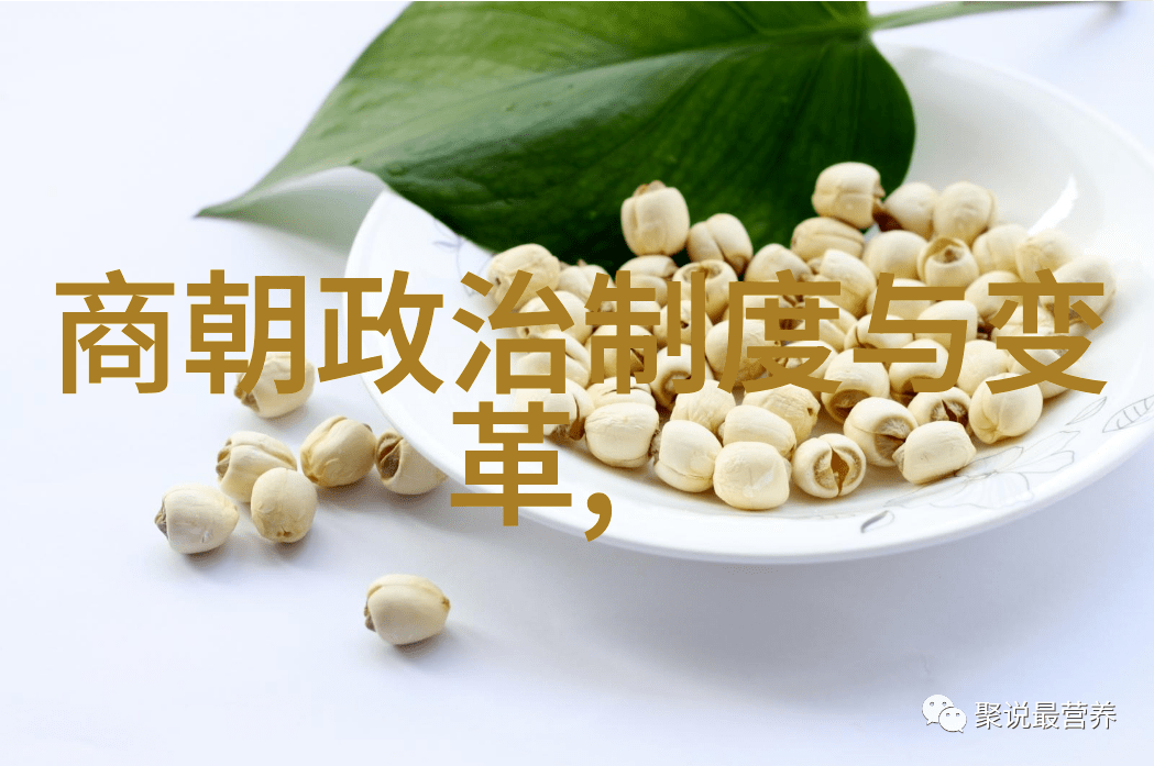 明朝奇闻趣事录