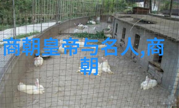 大明王朝映射问题历史真相与虚构的错综复杂