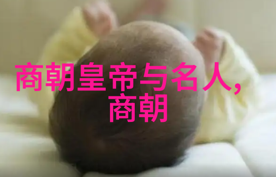 北周隋朝建国征服北周与隋朝的历史建功与军事征服