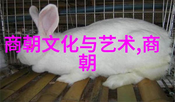 老师的巨大棒棒上写作业的奇妙经历