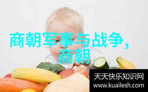 明朝由盛转衰的历史事件我的故乡沦陷了