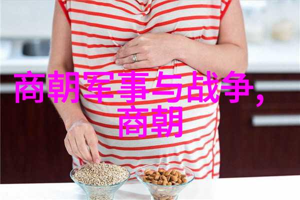 明朝那些事儿揭秘时光的尘埃