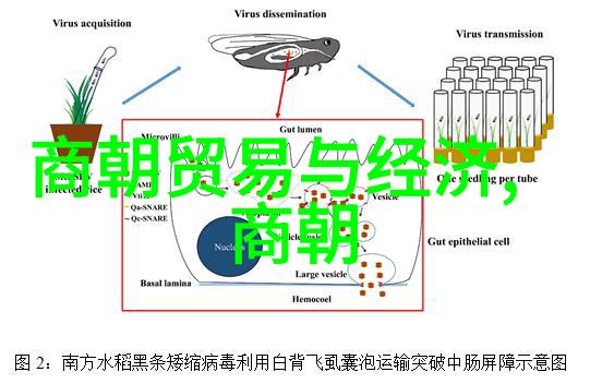 中国史观念之探5000年朝代序列的考古学与文献学交融