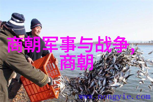 明朝帝王排行榜从洪武至崇祯的十六位皇帝历史评价