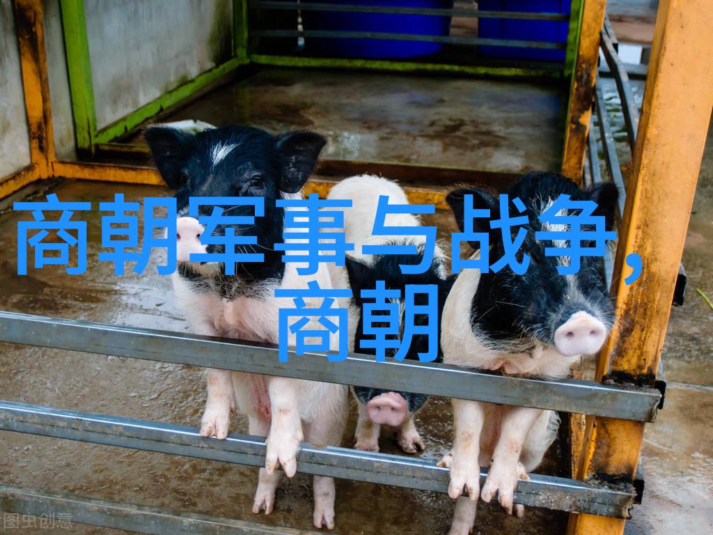 清军入侵时民众对明朝的忠诚体现得多么深刻