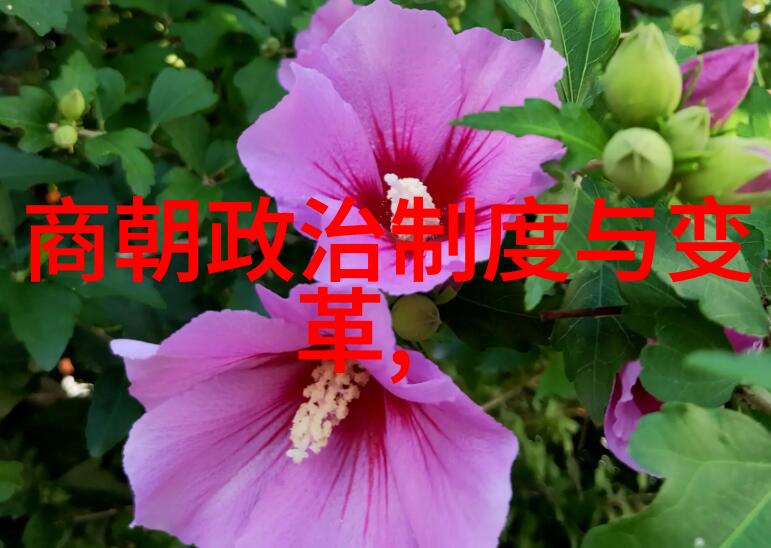 历史争霸-为什么欧洲不敢打明朝海上丝绸之路的力量与地缘政治考量