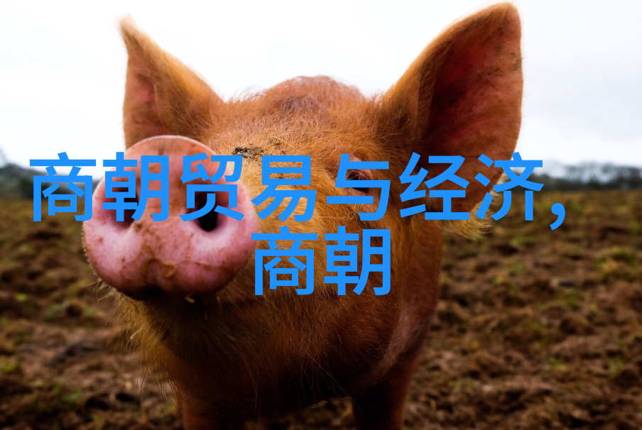 食物保存技术元代人如何解决鲜活食品运输问题