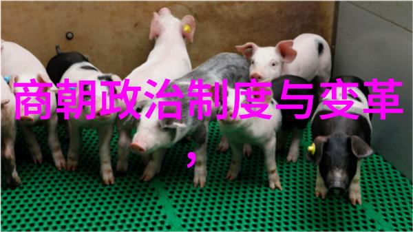 元朝算不算探秘蒙古的中国身份证