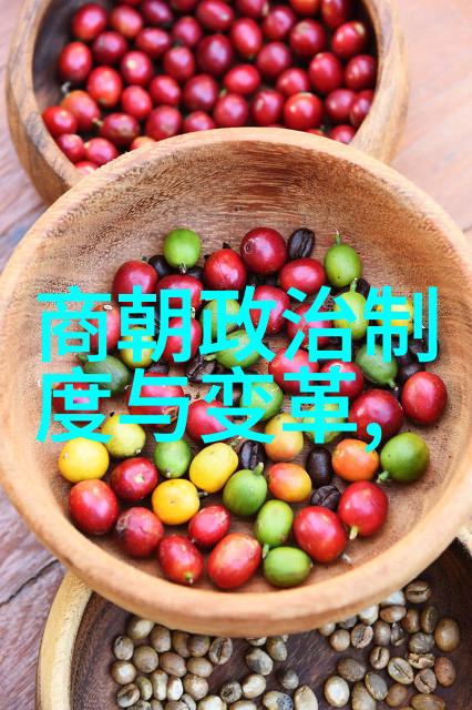 唐朝后宫嫔妃等级中皇帝怎能不娶弟媳娶后妈娶儿媳呢