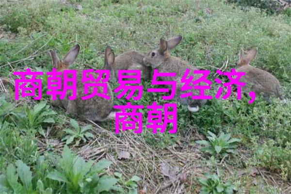 炮火与诗书间重塑明末抗清十大名将的人文关怀