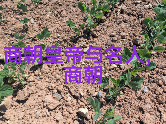 商朝皇帝军事征伐史迹简介