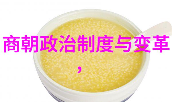 明朝沉浮录龙凤盛世与末日降临