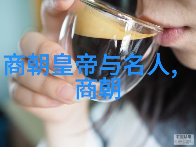 从北周到隋朝两代君主治国策略有什么共同点