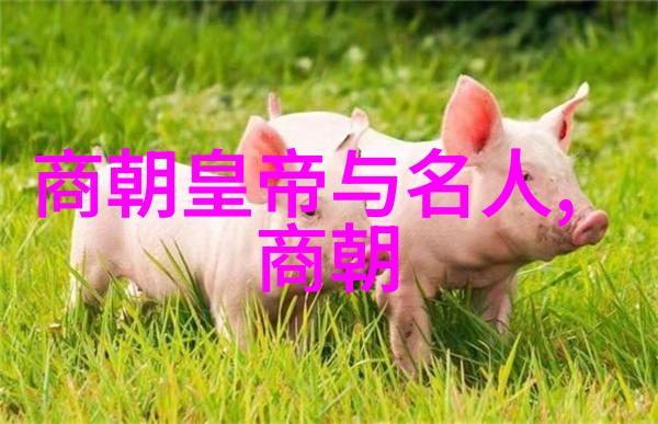明朝皇帝序列考察权力演变与制度调整