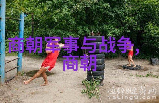 明朝煌烂录从建国到覆灭的重量级历史事件