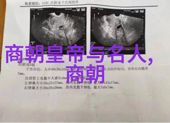 南北朝传奇孛儿只斤middot拙赤合撒儿的历史足迹
