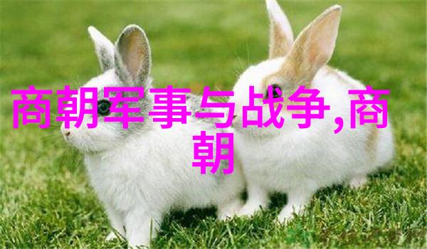 宋朝帝王世系简介