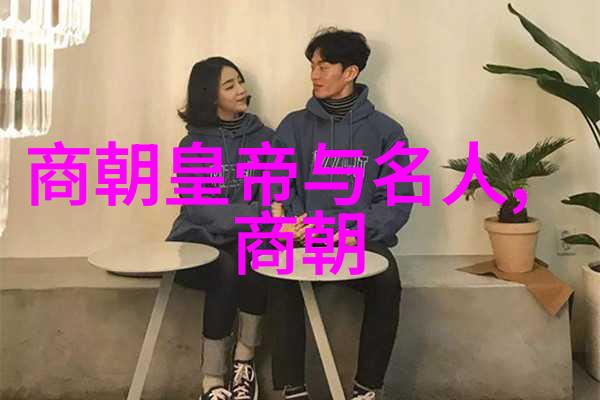 明朝风华龙凤盛世与沉浮人海
