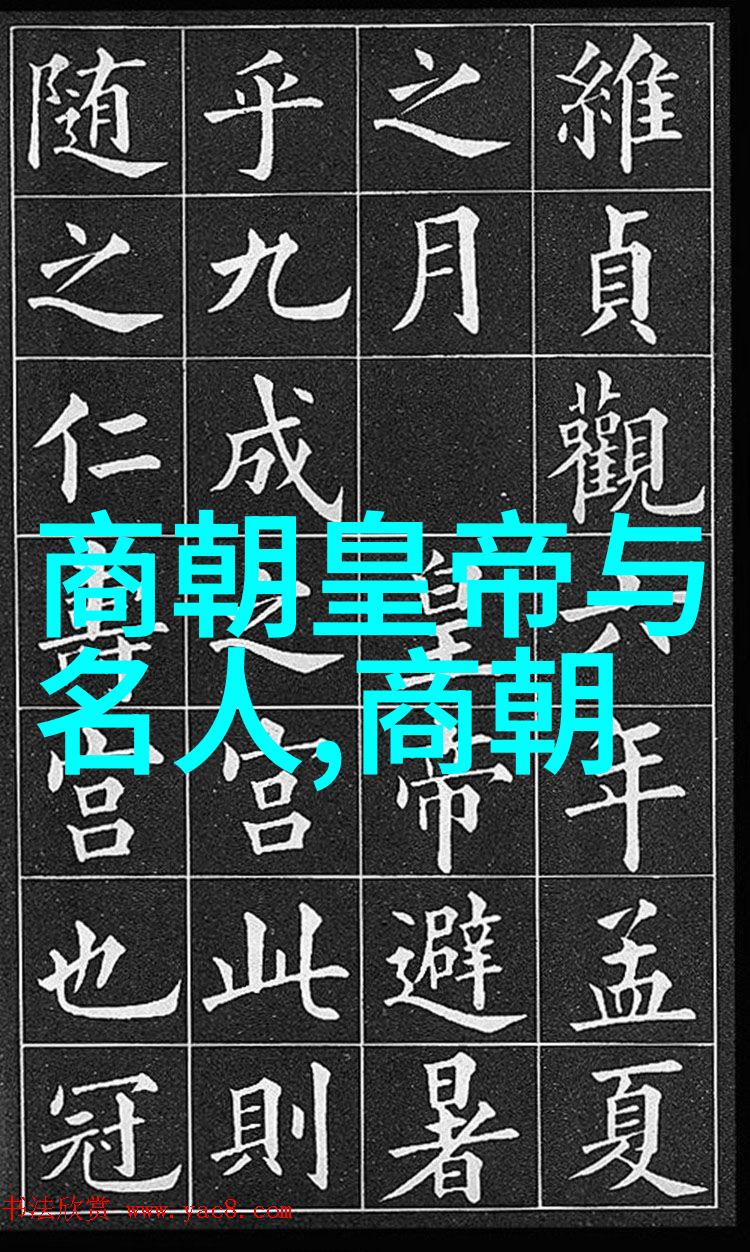 元朝征服与入侵外来势力的中国统治