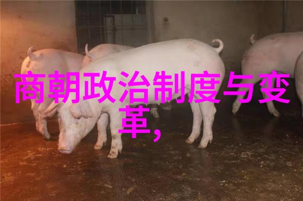 明朝帝王的辉煌与衰落一览表背后的历史故事