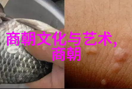 元朝中国历史的辉煌篇章吗