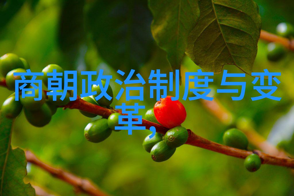 历史唐-探秘古都解读最具代表性的历史唐书籍