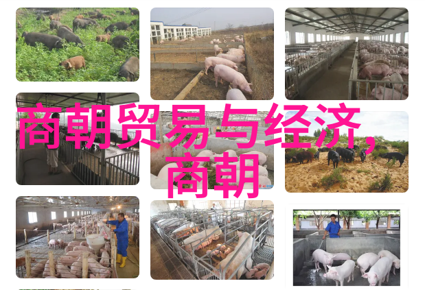 明朝四大名著的女性角色探秘