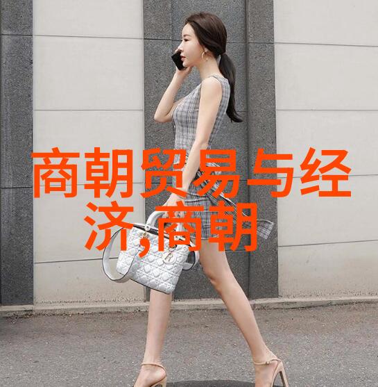 我来解答北宋在前南宋之后历史的错综复杂