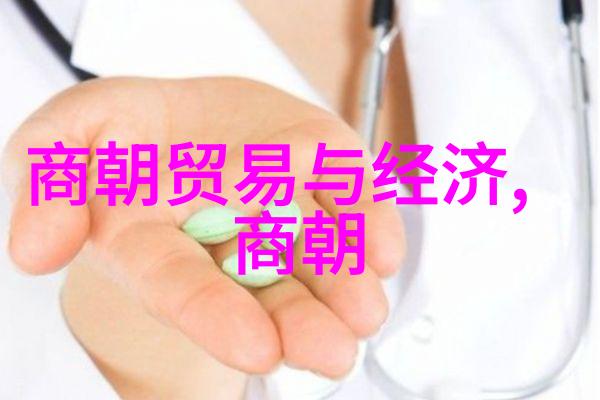 元朝覆灭的历史考量内忧外患与制度弊端