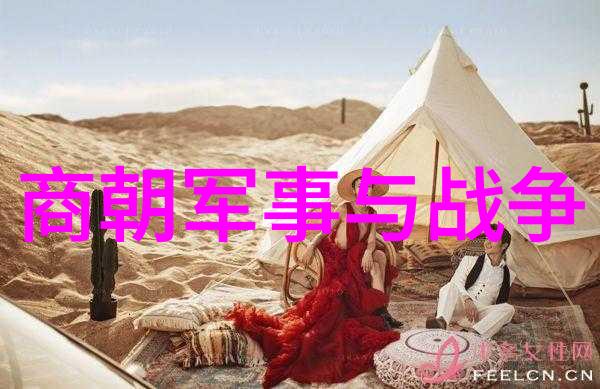 人皇帝辛为何被称为商纣王纣背后隐藏着哪些秘