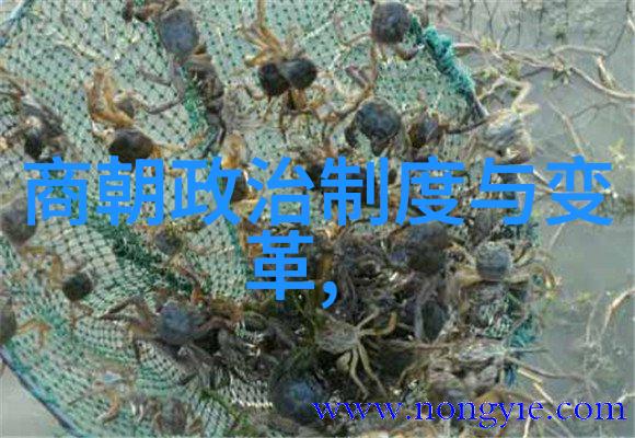 元朝饮食文化探究草原风味与汉化影响的交融