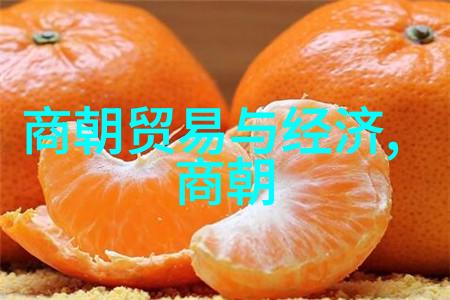 空中惊魂我的飞行奇遇