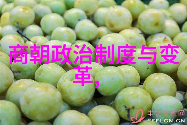 元朝对外战争策略与影响元朝的征服战役及其对世界历史的深远影响