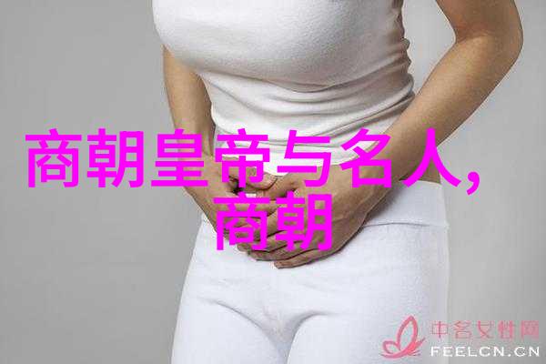 宋朝文化的鼎盛时期是怎样的