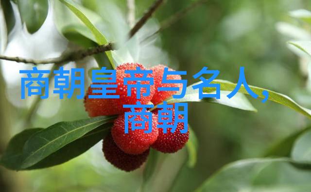乾隆帝无敌手皇位继承权的绝对统治